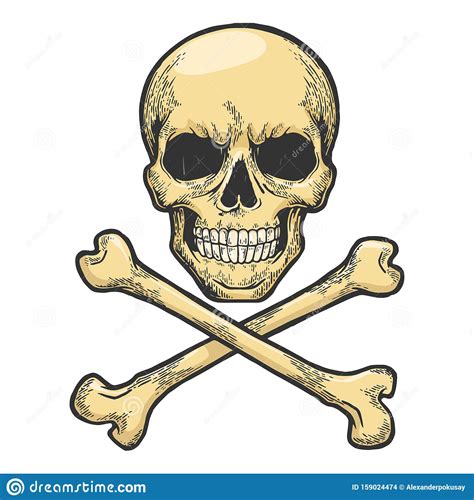 Jolly Roger Sketch Engraving Vector Stock Vector Illustration Of