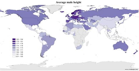 Average Male And Female Height Mapped