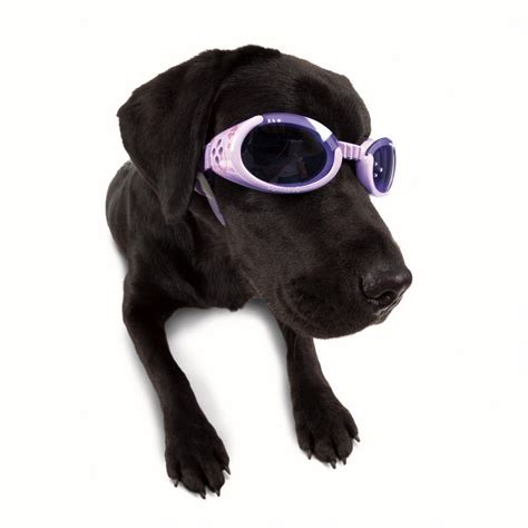 Doggles Are The Next Best Thing In Eye Fashion And Protection