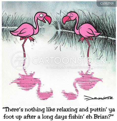 Pink Flamingos Cartoons And Comics Funny Pictures From