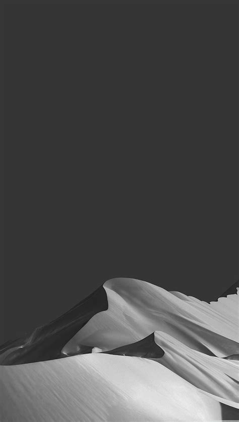 Monochrome Nature Hd Phone Wallpaper Peakpx