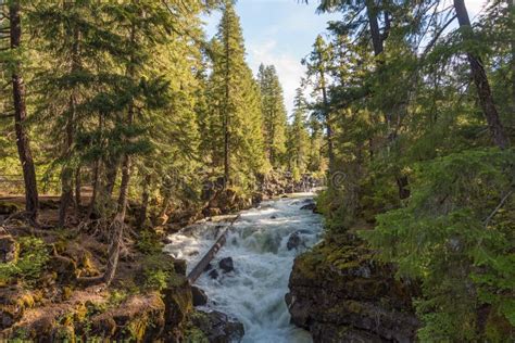 Rogue River Siskiyou National Forest Stock Image Image Of Trip Clear