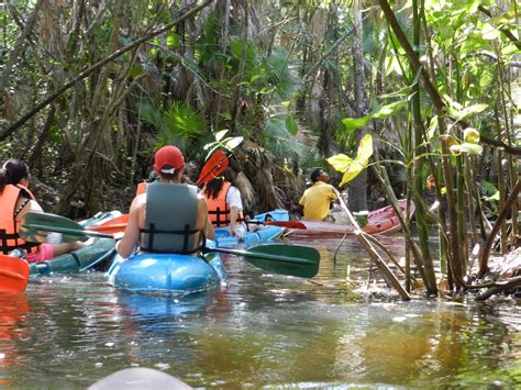 Bacab Eco Park Kayak Creek Expedition Experience The Thrill Of