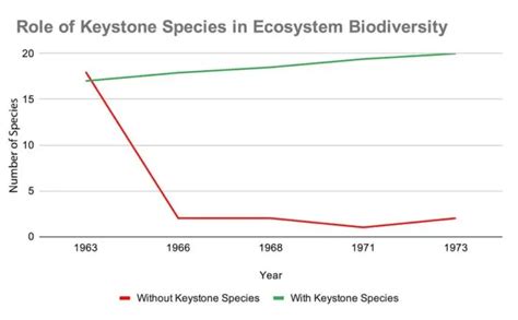 17 Keystone Species Examples Names Photos And Importance