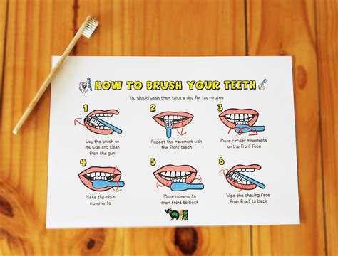 How To Brush Your Teeth Pdf Printable Dental Guide Etsy