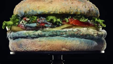 Burger Kings New Ad Campaign Has Moldy Whopper To Highlight Changes