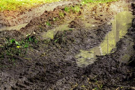 Dirt Forest Road In The Forest Big Mud Puddle Stock Image Image Of