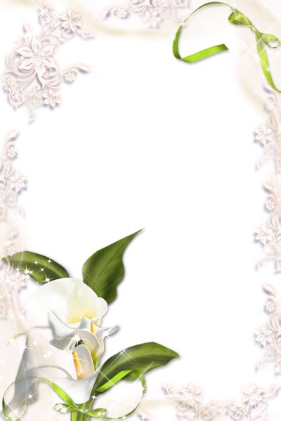 Transparent Calla Lily PNG Photo Frame Calla Lily Easter Lily Photo