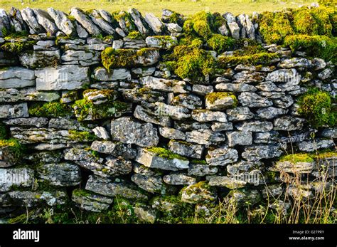 Mossy Dry Stone Wall Above Malham In The Yorkshire Dales National Park