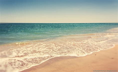 🔥 46 Summer Beach Scenes Wallpaper Wallpapersafari