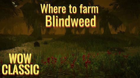 Wow Classic Where To Farm Blindweed Youtube