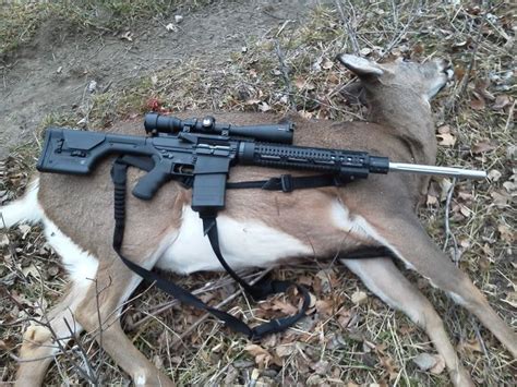 Ar 15 For Deer Hunting Tips And Tricks News Military