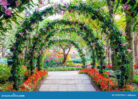 Beautiful Flower Arches With Walkway In Ornamental Plants Garden Stock