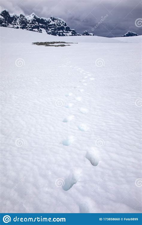 Footprint Snow Stock Photo Image Of Distance Antarctic 173858660