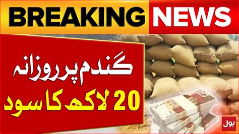 Shehbaz Sharif In Action 20 Lakh Interest Per Day On Wheat Wheat