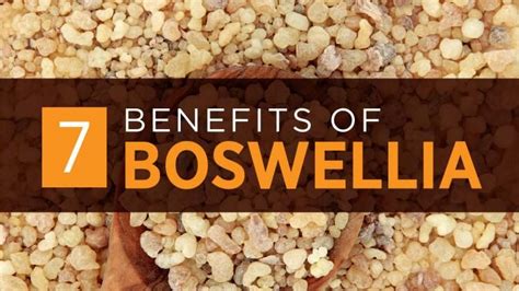 Boswellia Serrata Benefits Dosage Side Effects