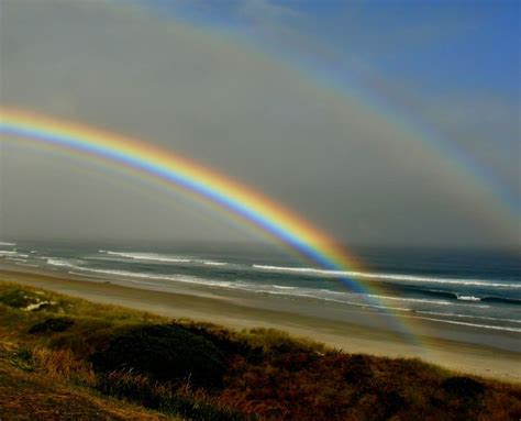 Rainbows At The Beach Rainbow New Zealand Beach Beautiful Nature