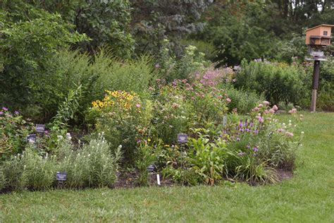 Ottawas Best Public Gardens Fletcher Wildlife Garden Apartment613