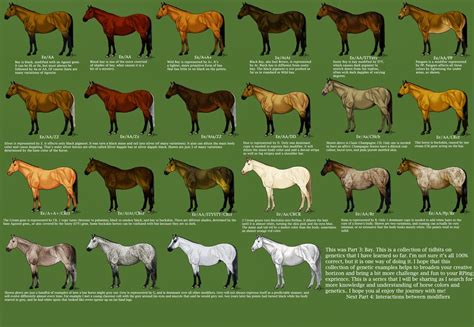 The forums are a wonderful source of information and support for members of the horse community. Iowa Grognard: Horse Color Charts