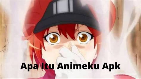 Animeku Apk Versi Terbaru 2022 Nonton Anime Subtitle Indonesia