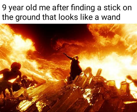 i own the elder wand now r memes