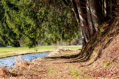 Free Images Tree Wilderness Hiking Meadow River Walk Stream