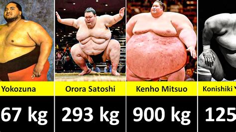 Biggest Sumo Wrestlers In The World Heaviest Sumo Wrestlers List