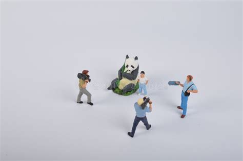 Plastic Toy Figurines Panda 2016 Stock Image Image Of Young Four