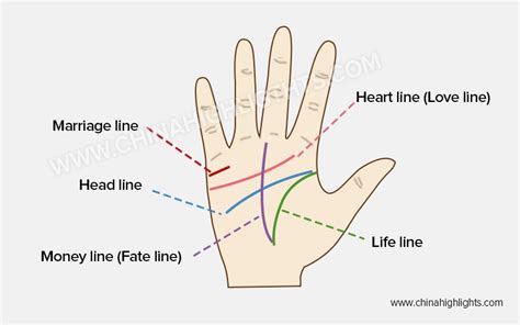 Palm Reading How To Read Your Palm Lines In Just 10 Minutes