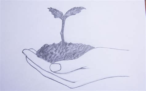 How To Draw A Hand Holding A Plant Step By Step How To Draw