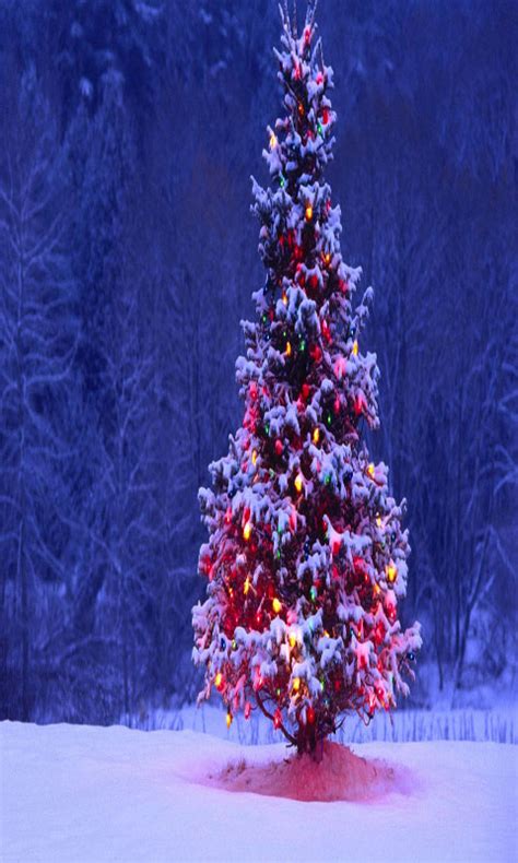 Christmas Tree Live Wallpaper Free Uk Appstore