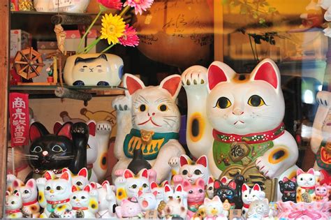 ¿qué Es Maneki Neko Conoce La Encantadora Historia Del Gato De La Suerte Japonés El Heraldo