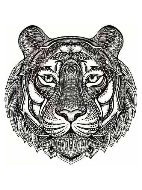 Tiger Coloring Pages For Adults 10633 The Best Porn Website