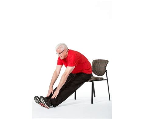 10 Chair Exercises For Seniors For Strength And Stability