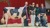 The new Miss Ostfriesland “Princes” (by Odyssey) flanked by (above ...