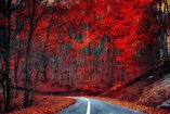 Red Road – Print A Wallpaper