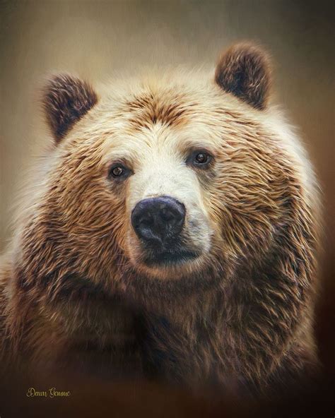 Grizzly Bear Wildlife Digital Oil Painting Affectionately