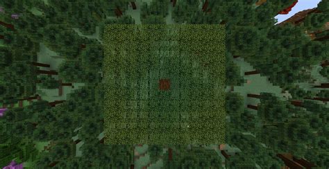 Xxvis Multicolored Spruce Leaves Minecraft Texture Pack