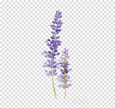 Gradient Background Png Lavender Clipart Large Size Png Image Pikpng