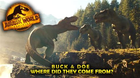 What Happened To The Buck And Doe Tyrannosaurus In Jurassic World
