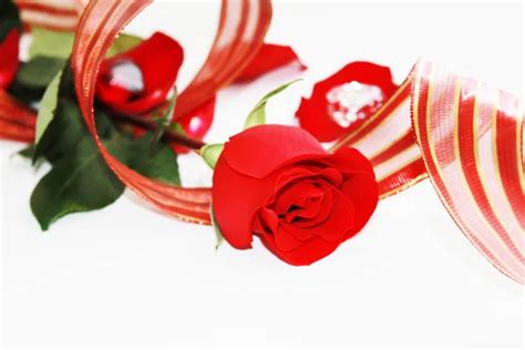 Romantic Red Rose And Ribbon Stock Photo By ©didart 19122667