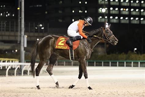 【川崎競馬】スパーキングレディーカップ出走予定馬アーテルアストレアなど（競馬のおはなし） Yahooニュース