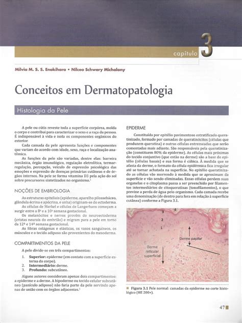 Cap03 Conceitos Em Dermatopatologia Pdf Pele Sistema Tegumentar