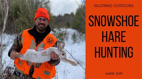 North Woods Snowshoe Hare Hunting In Maine Youtube