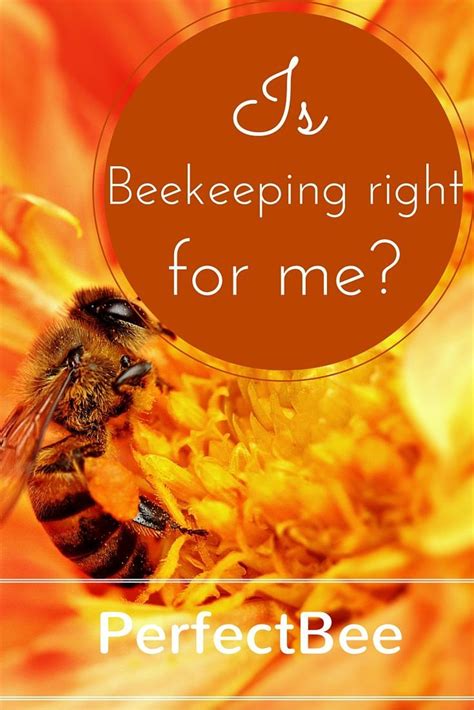 Is Beekeeping Right For You Perfectbee Bee Keeping Bee
