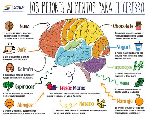 Alimentos Para El Cerebro Recetas Para La Salud Salud Y Nutricion