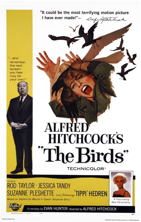The Birds The Hitchcock Wiki Fandom