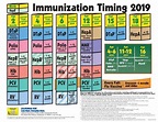 2019 CDC Immunization Schedule Diagram | Quizlet