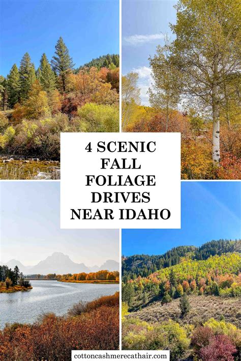 4 Scenic Fall Foliage Drives Near Southeast And Eastern Idaho