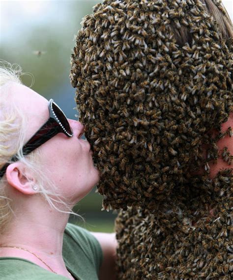 Bee Beards Your New Favorite Hobby